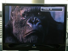 HDTV𺳣岥řCuy