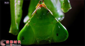 cŴ