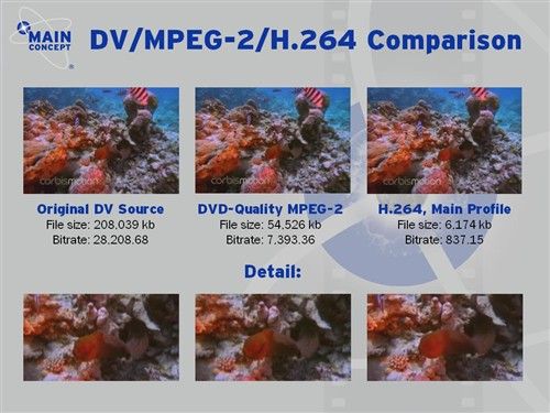 32寸液晶賞"蜘蛛俠3"! MCP68決戰高清