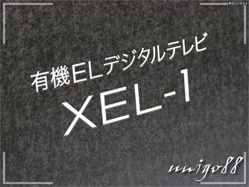 CH3 OLEDҕXEL-1D 