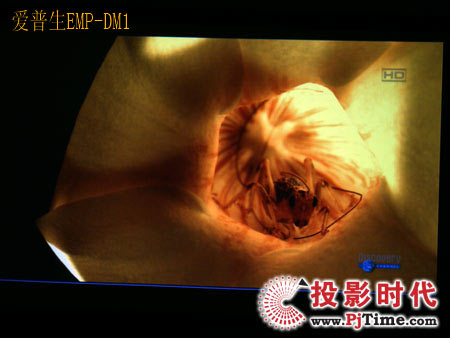 cŴ󣬐EMP-DM1XҕlЧPK