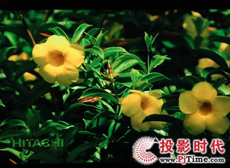 cŴ(chung)SҺҕ42L02RFXЧ
