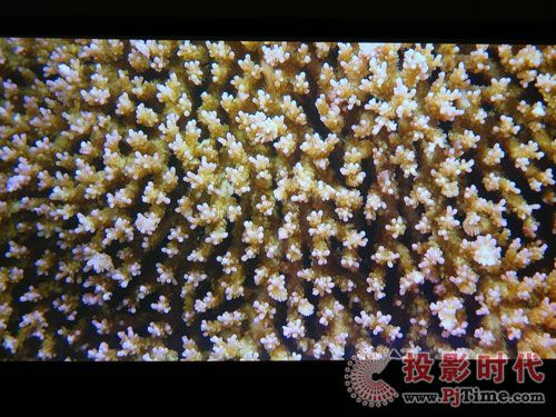 點擊放大