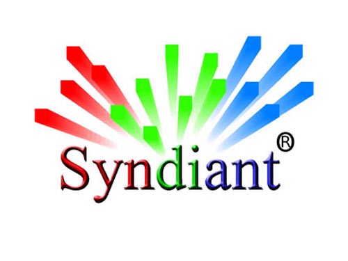 Syndiant΢ͶЈ ӴоƬgаl