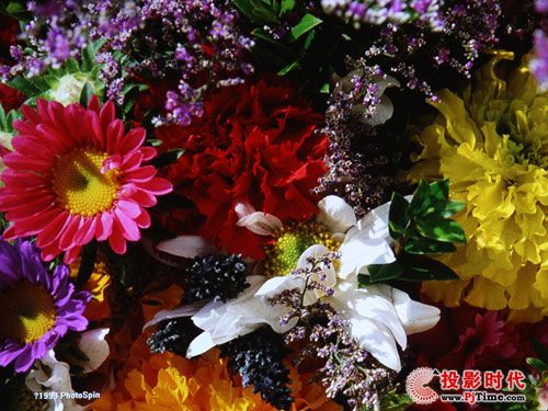 곞X1237̄սͶӰCuy