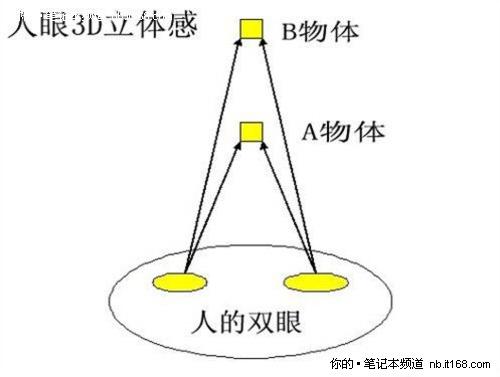(lin)׿3DPӛIdeaPadY560Duy