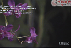 y}ɿͶӰHQVҕl̎l(qing)