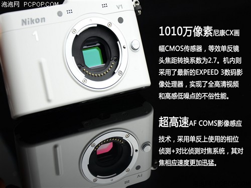 ῵(Nikon)V1aC 