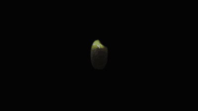 (chung):СӳͶӰ Rice Mapping