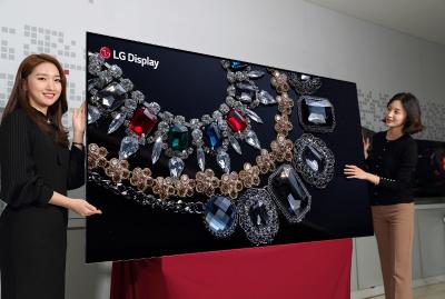 LGD E62018ͶaOLED