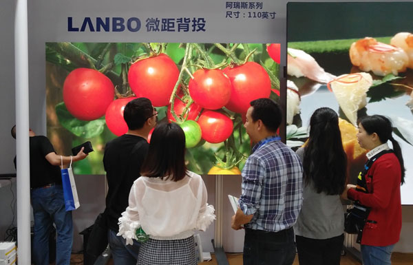 LANBO΢౳Ͷ¶xߴĻoۘ˜