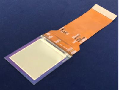 INT TechƳܶOLED@ʾg