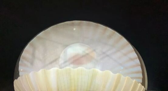 麣ؐ貾`ͿʢIY