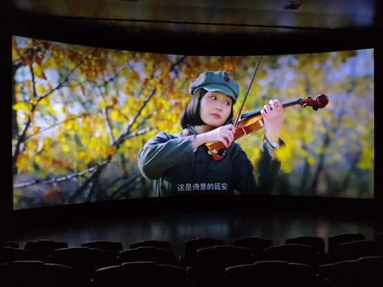 ӰÌ桪ӛ2019ͶӰ15Ӱ尸