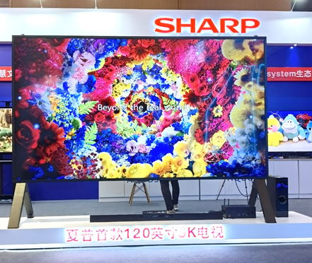 2021괺팢_8Kֱ 8KBИI