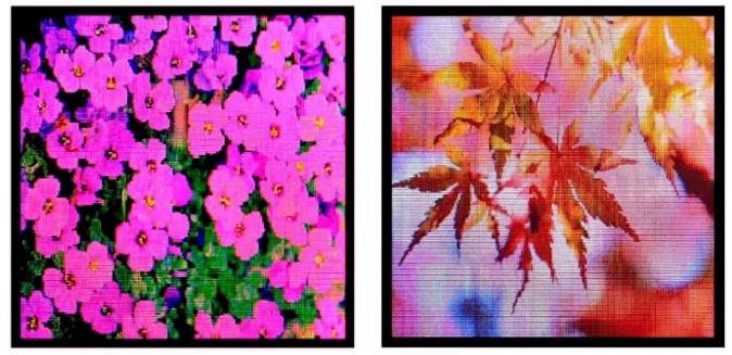 9MLEDaI朅RMini LED/Micro LEDUa®aƷY
