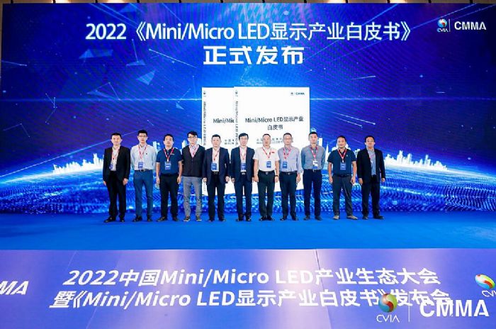 2022Mini/Micro LED@ʾaIƤʽl@ʾO
