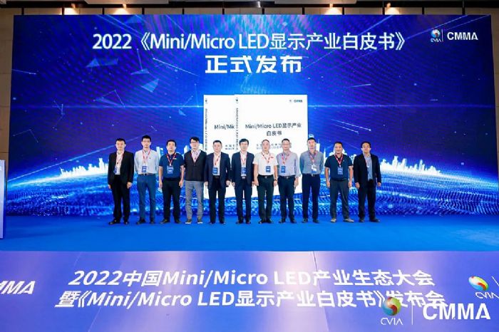 ³ϯ2022ЇMini/Micro LEDaIB