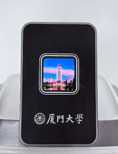 ИI(y)(dng)B(ti)Mini/Micro LEDИI(y)R20241ܣ
