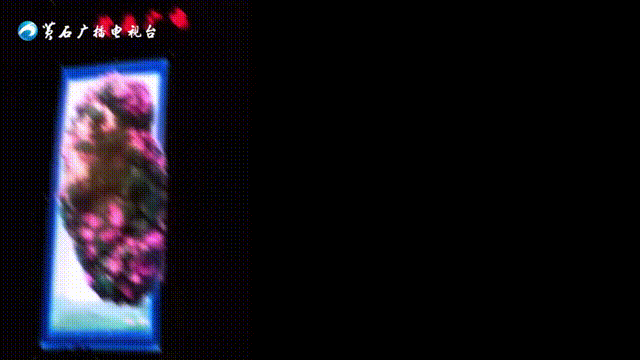 ҕ(bo)حcVҕ_(ti)|(zh)l(f)չϻ֮ƃxʽ